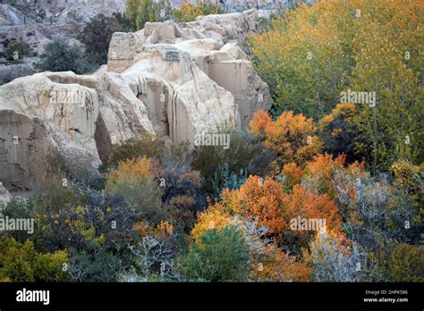 ¡Sumérgete en la Historia y la Belleza del Templo de Hami en Xinjiang!