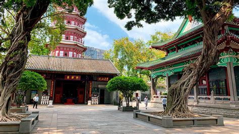 ¡Sumérgete en la Historia y la Naturaleza en el Templo de las Seis Banyan!