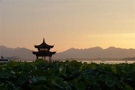  ¿La Pagoda de la Flor de Loto: Un santuario tranquilo en medio del bullicio Xinxiang?